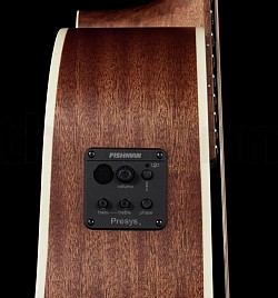 Fishman pickups